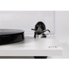 Rega Planar 1 plus (matt-weiß) Plattenspieler