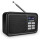 Blaupunkt DAB+ Radio RXD 60 mit Akku-Betrieb, tragbares UKW-Radio mit Aux-In und Teleskop-Antenne, Neuwertig